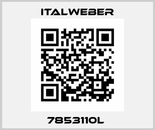 7853110L  Italweber