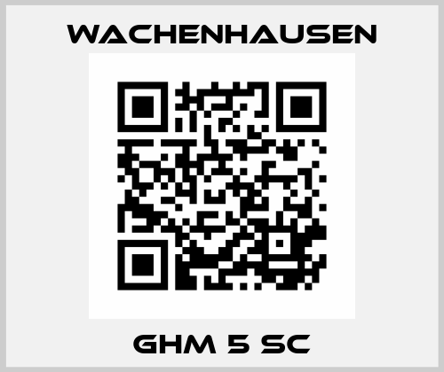 GHM 5 SC Wachenhausen