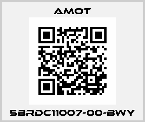 5BRDC11007-00-BWY Amot