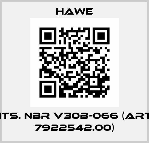 Dichts. NBR V30B-066 (Art Nr. 7922542.00) Hawe