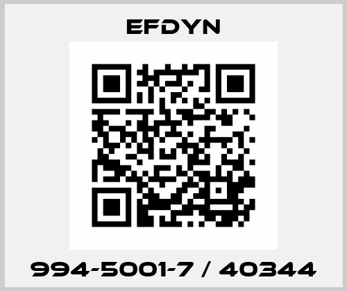994-5001-7 / 40344 EFDYN