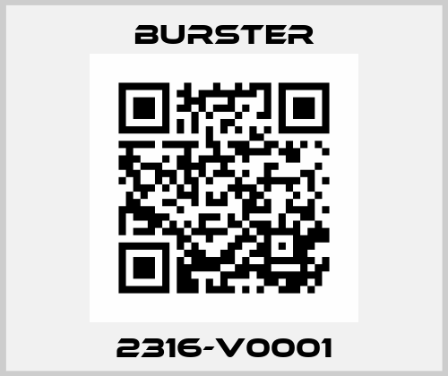 2316-V0001 Burster